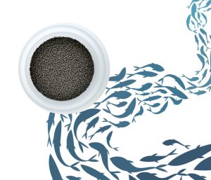Aspectos de qualidade determinantes para a escolha de rações para peixes