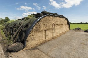 High-digestible silages