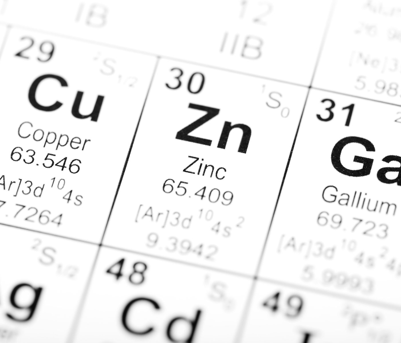 Absorção de zinco no trato gastrointestinal