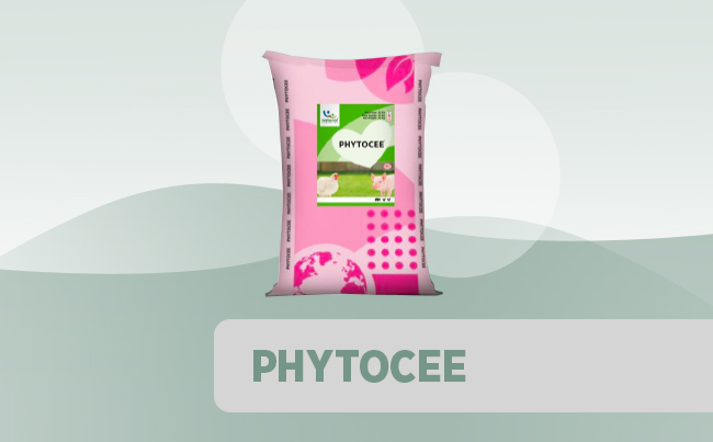 Phytocee