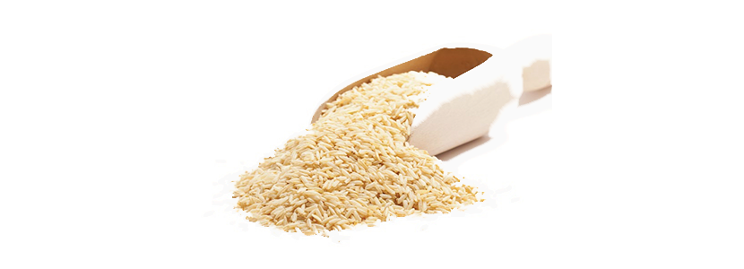 Ficha de Materia Prima : Salvado de arroz