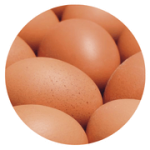 Valorização do ovo 