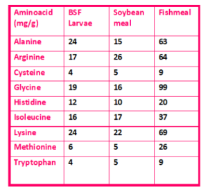 amino acid