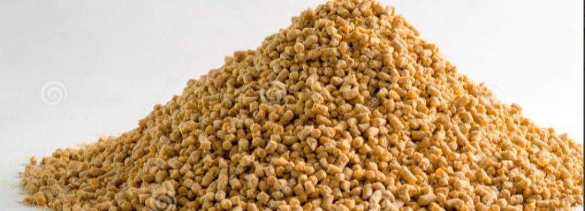 Phytase, an ally in animal feed under correct use