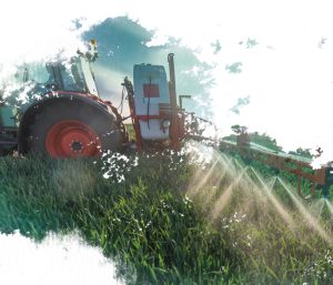 Micotoxinas e Micotoxicoses em Silagens e Insumos para alimentação de bovinos