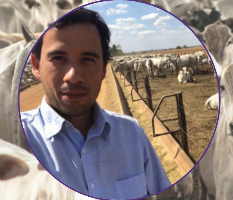 Nutrição na pecuária de corte com o zootecnista Phyllypi Melo