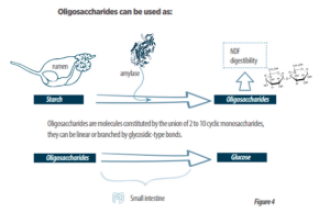 exogenous-enzymes