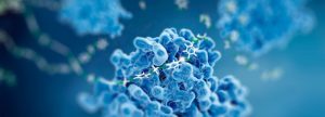 Exogenous enzymes: their use in dairy cows