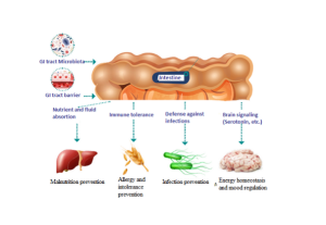 intestinal health