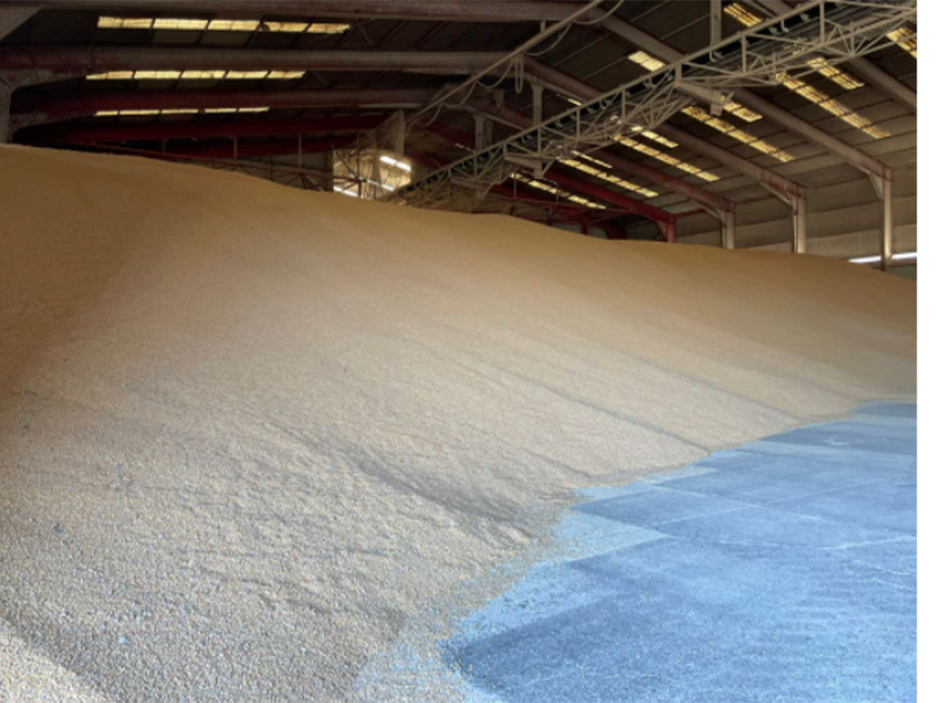 Ukraine unloads first corn shipment on foreign soil