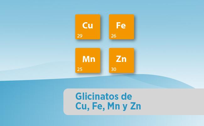 Glicinatos de Zn/Fe/Mn/Cu