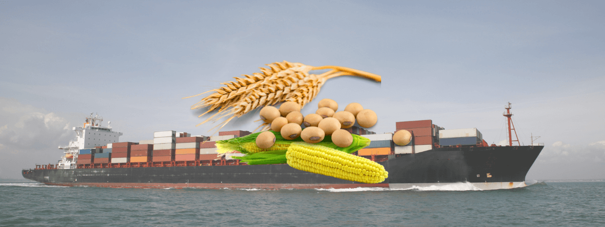 Aumento dos fretes pressiona países importadores de grãos
