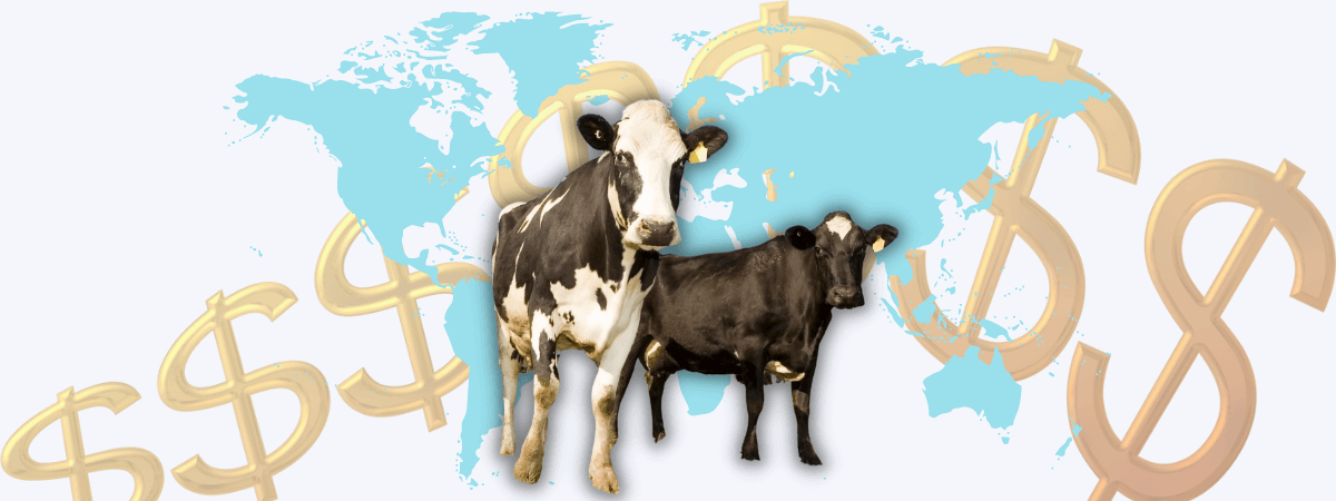 Situação econômica do agronegócio do leite: mercado internacional