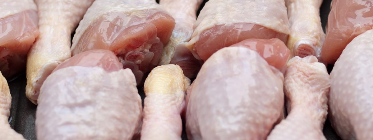 NOVUS aborda influência do Zinco na qualidade/volume de carne de frango
