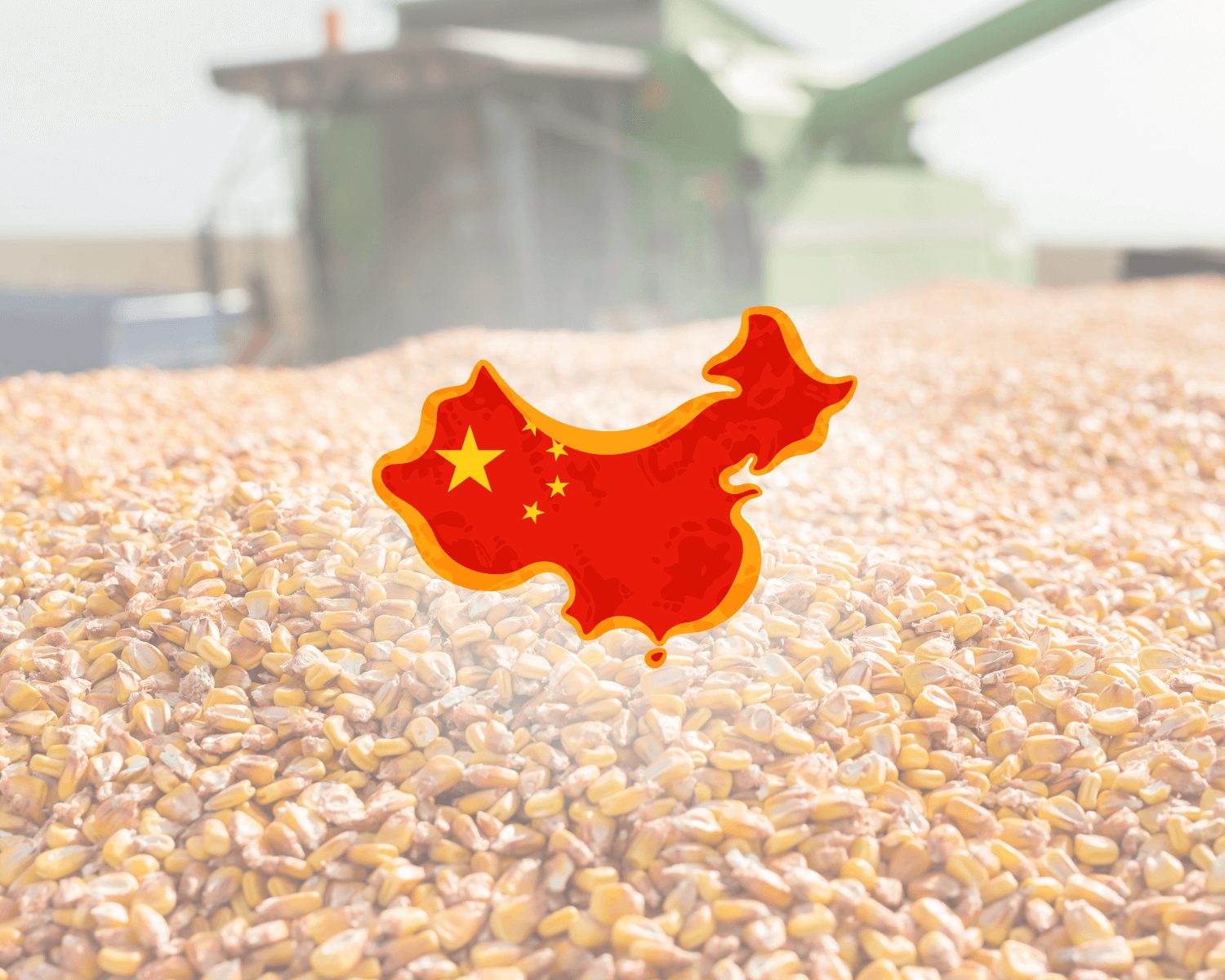 China faz acordo para comprar volume recorde de milho brasileiro