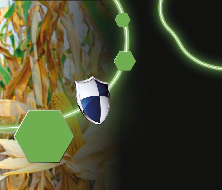 Conceitos básicos das micotoxinas e as ferramentas de controle