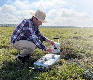 Impacto ambiental do nitrogênio na produção de ruminantes