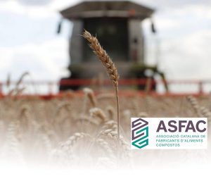 Ucrania: Exportaciones de cereales alcanzan los 47,2 millones de toneladas