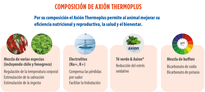 composicion-axion-thermoplus