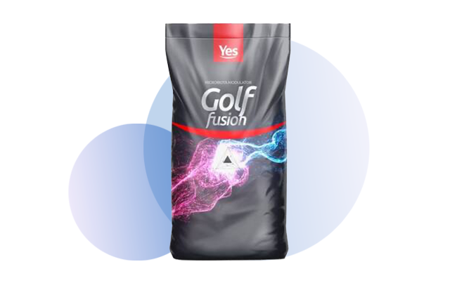 YES – GOLF FUSION