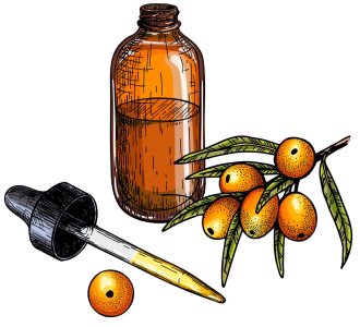 Essential Oil Nanoemulsions