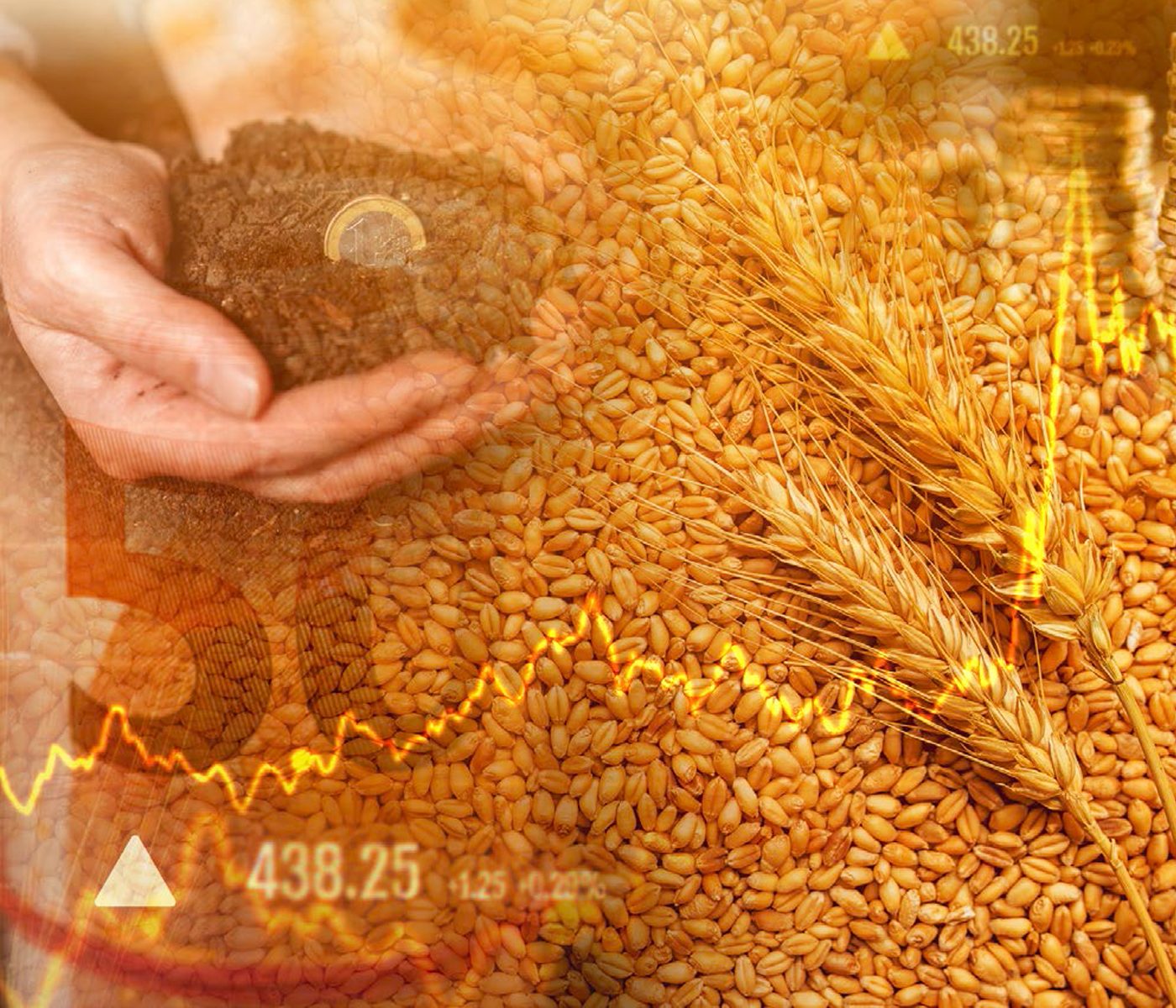 Materias primas julio 2022: Cereales y oleaginosas continúan en precios altos 