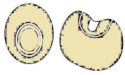 feed formulation