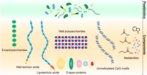 postbiotics