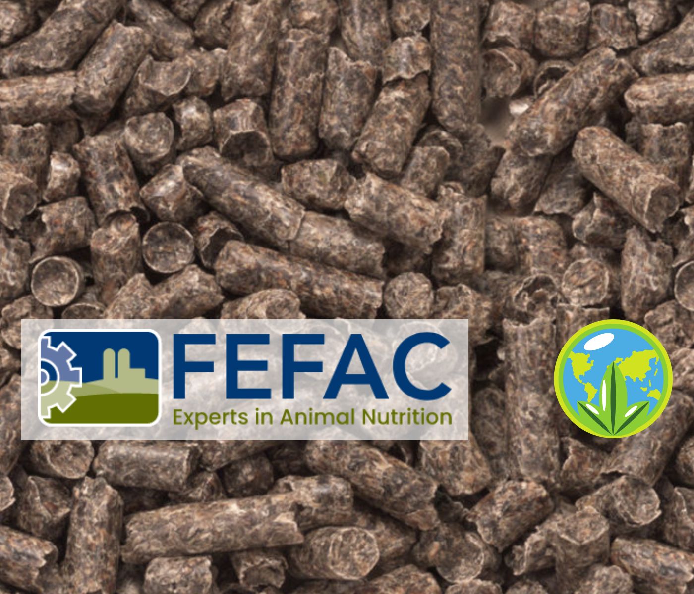 FEFAC publica sobre la Alimentación circular: Clave para la sostenibilidad