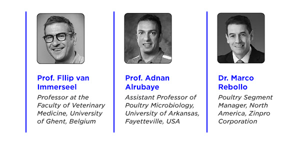 Professor FIIip Van Immerseel, Professor Adnan Alrubaye and Dr. Marco Rebollo