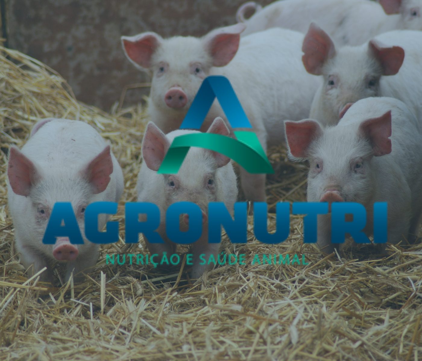 Agronutri e Farm Faes selam parceria no setor de nutracêuticos para suínos