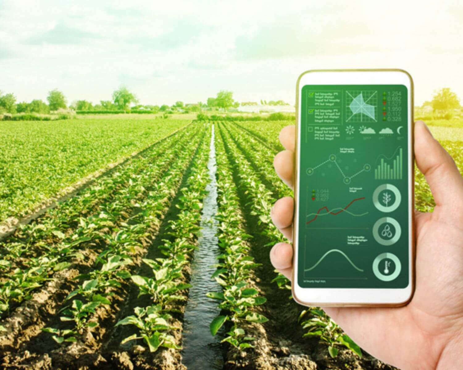 Tecnologia: nicho estratégico da agroeconomia