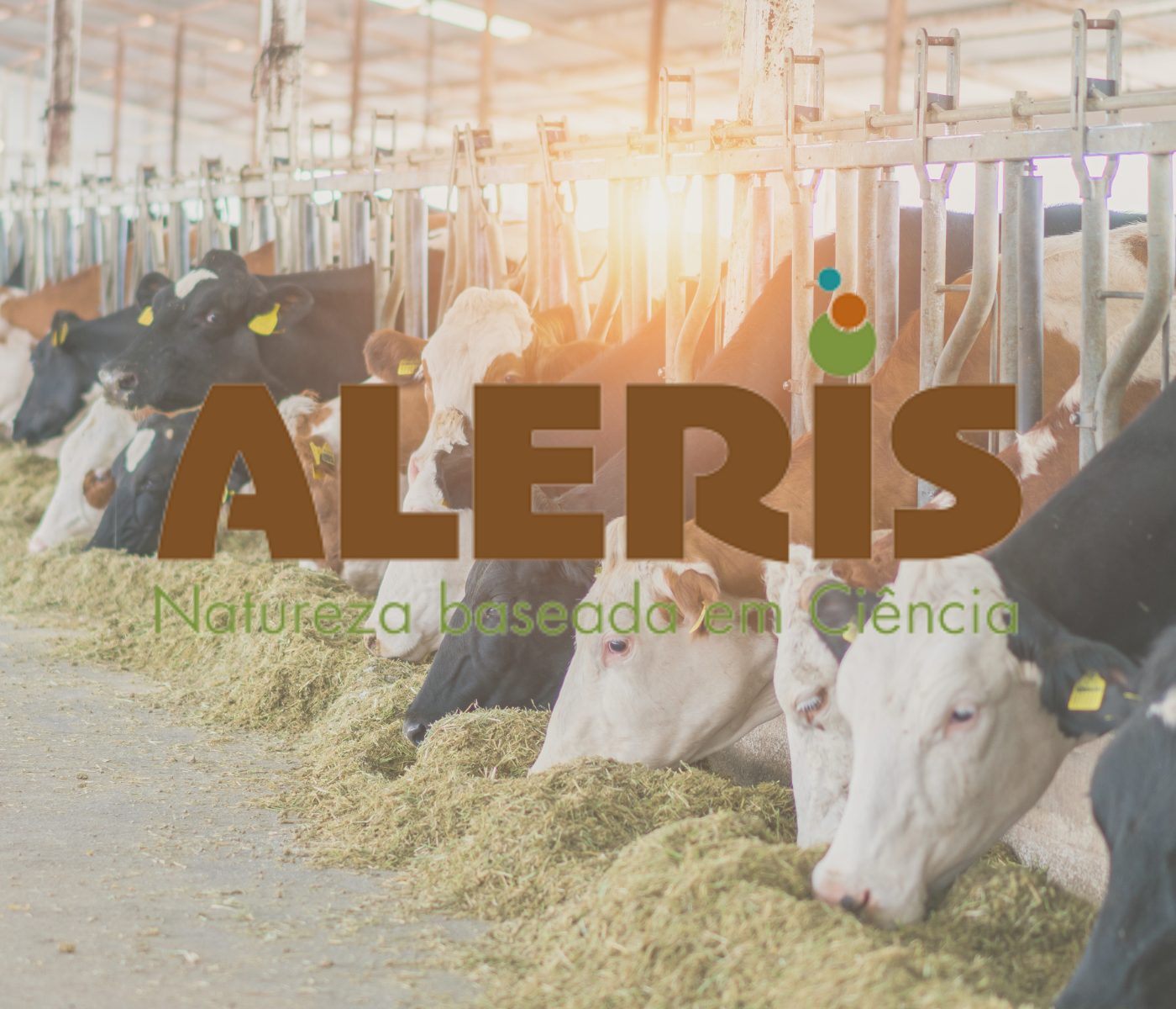 Aleris marcará presença na Agroleite 2022, a maior vitrine da cadeia leiteira