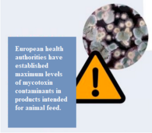 mycotoxins