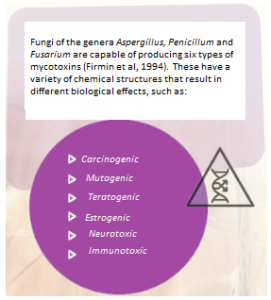 Mycotoxin 