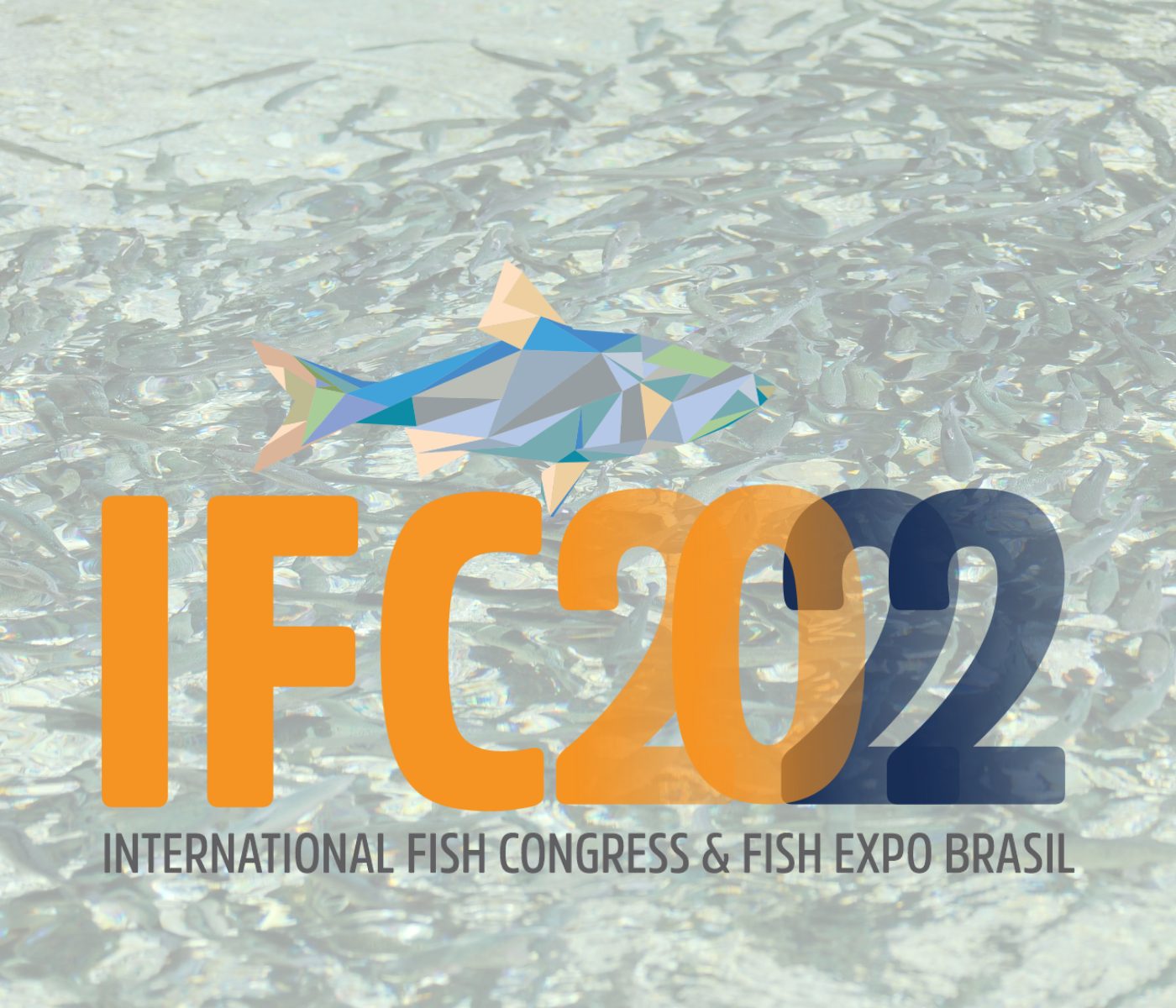 IFC Brasil reúne la cadena pesquera con foco en mercados y sustentabilidad