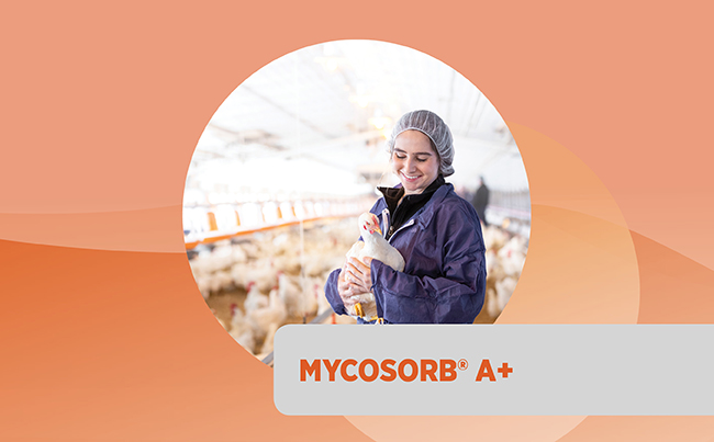 MYCOSORB ® A+