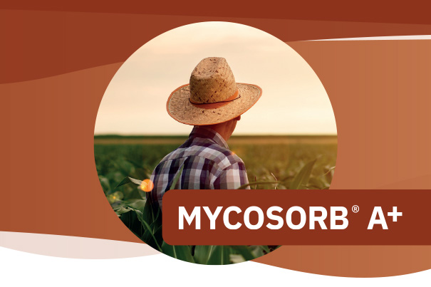MYCOSORB ® A+