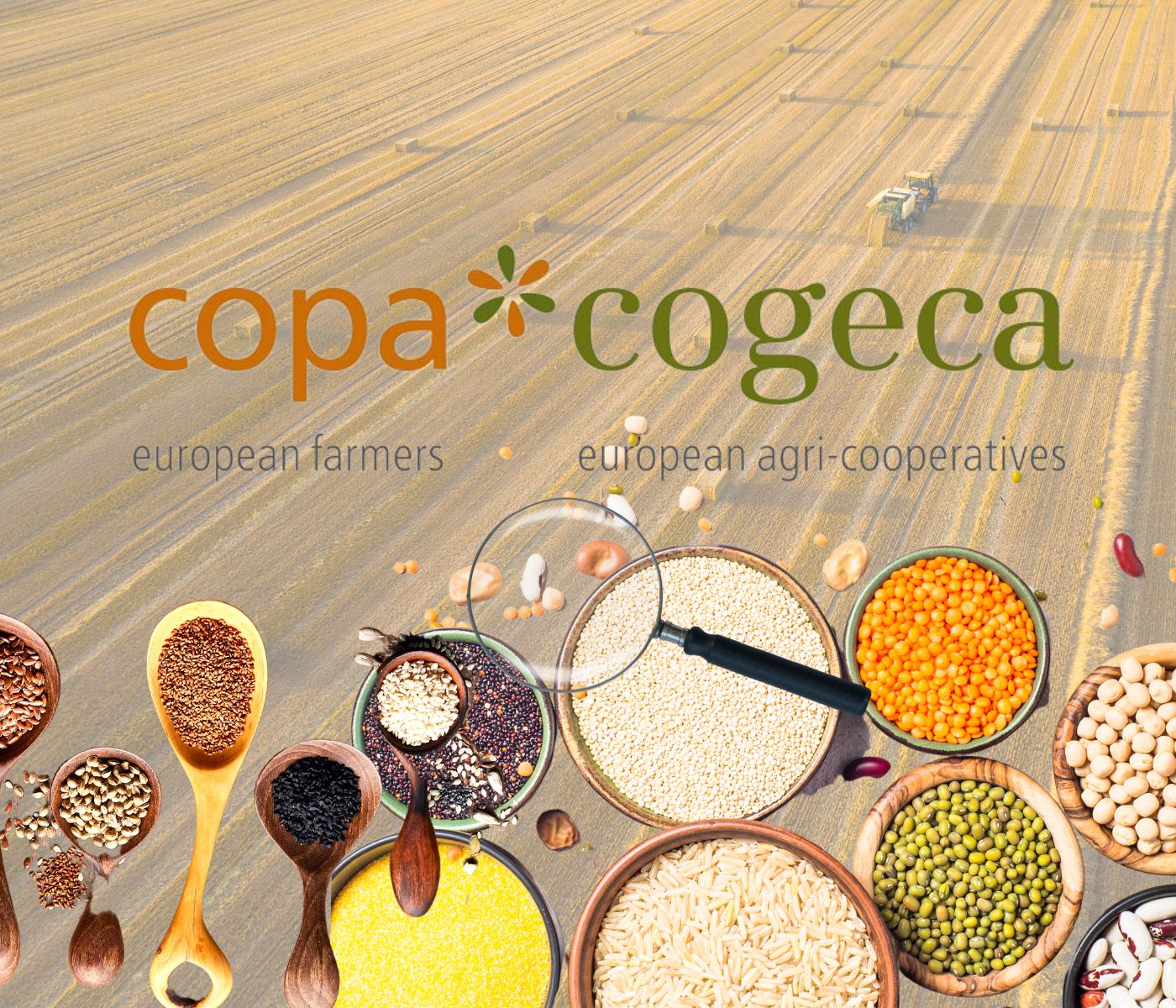Copa y la Cogeca confirman reducción de las producciones totales de cereales