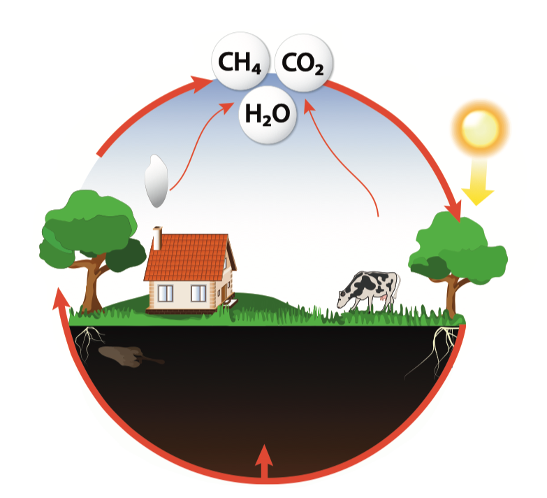 carboncycle-methane