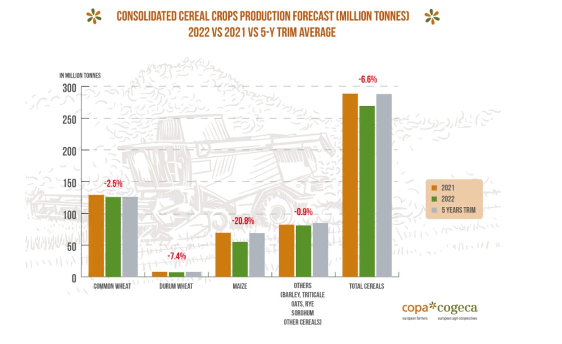 gráfico donde se muestra la producción de cereales entre 2021 y 2022