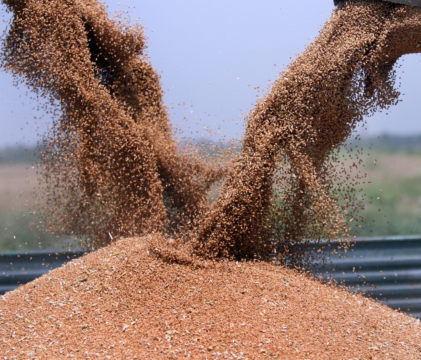 Safra 2021/22 atinge recorde de grãos com 271,2 milhões de toneladas produzidas