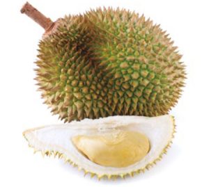 cascara-durian