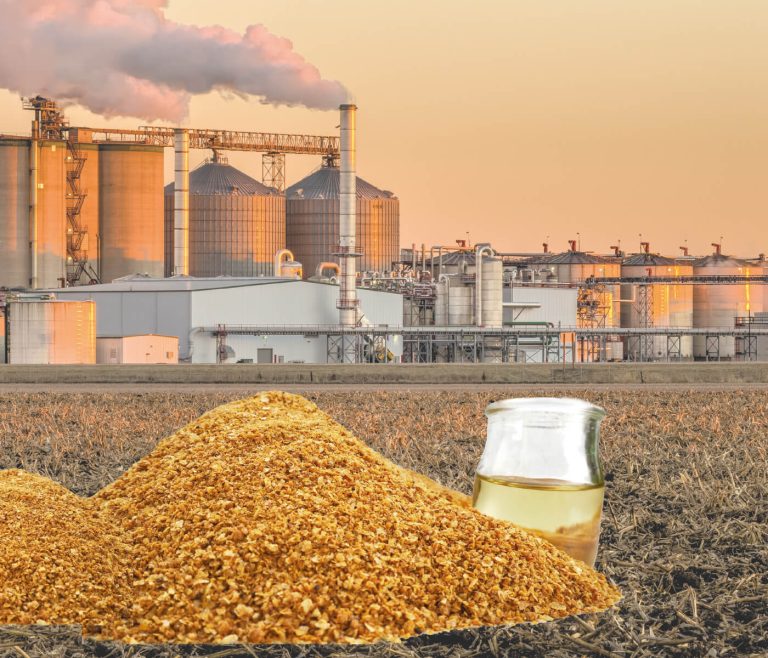 DDGS: conhecer a produção para otimizar a aplicação
