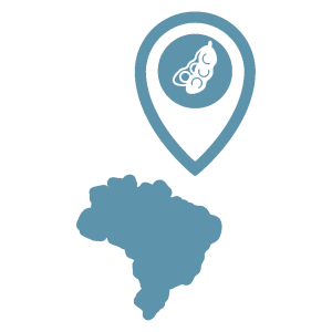 Mapa Brasil Soja