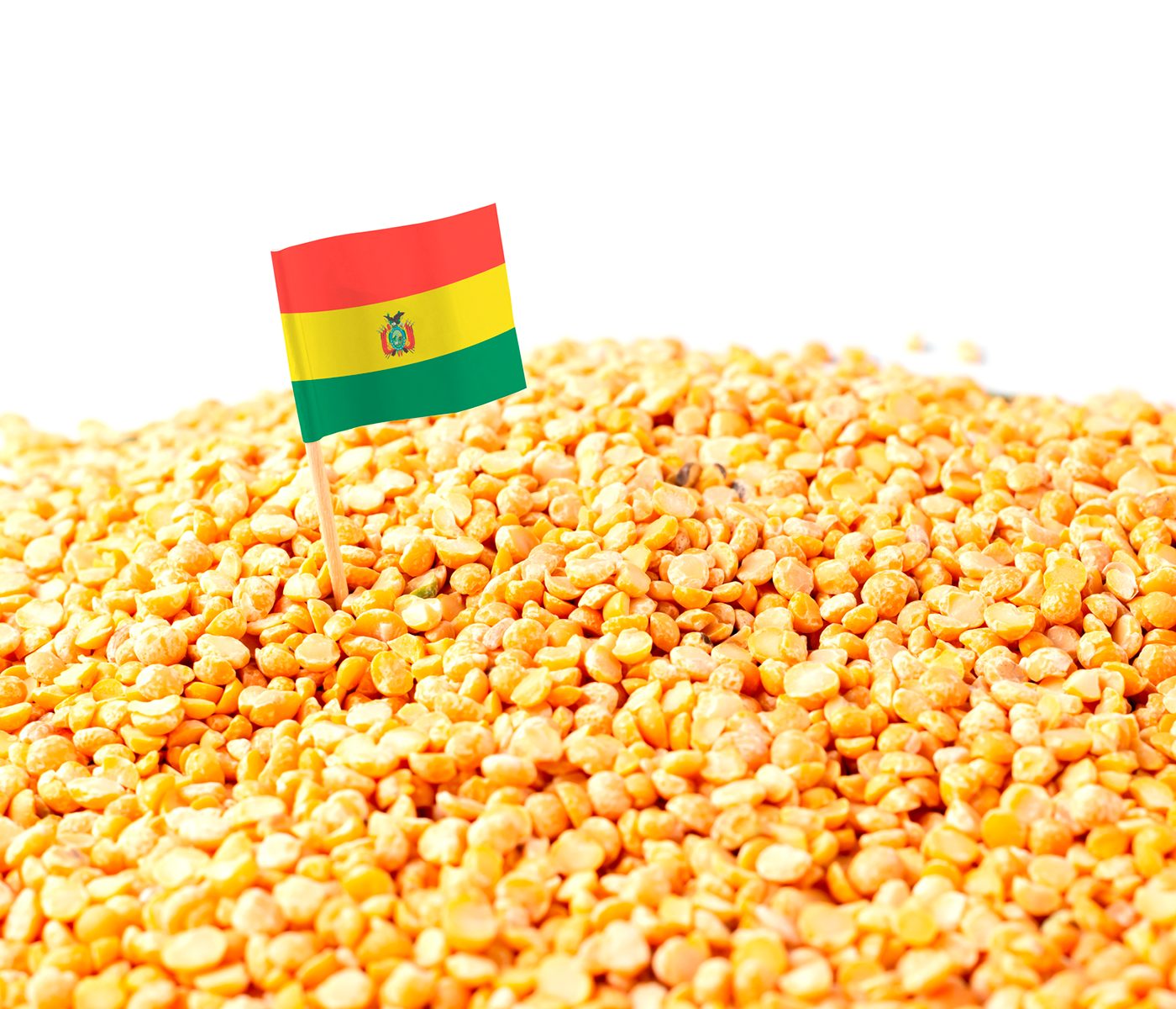 Bolivia aumentó exportación de soya en ocho meses