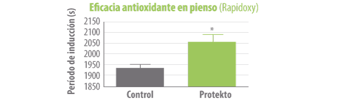 antioxidante-pienso-rapidoxy-itpsa
