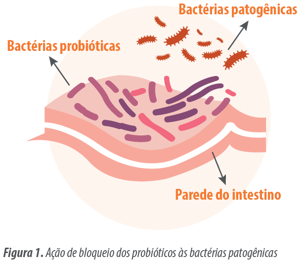 barreira-saude-intestinal