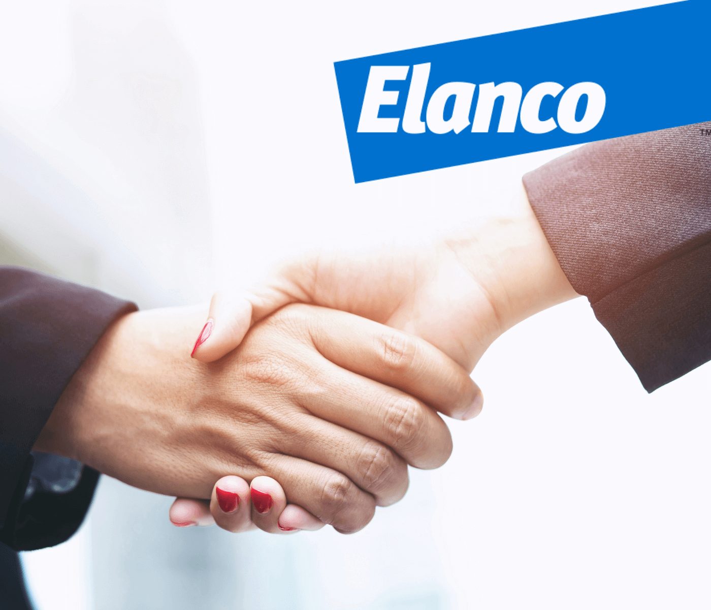 Elanco e empresa irlandesa fazem parceria para distribuição de produtos