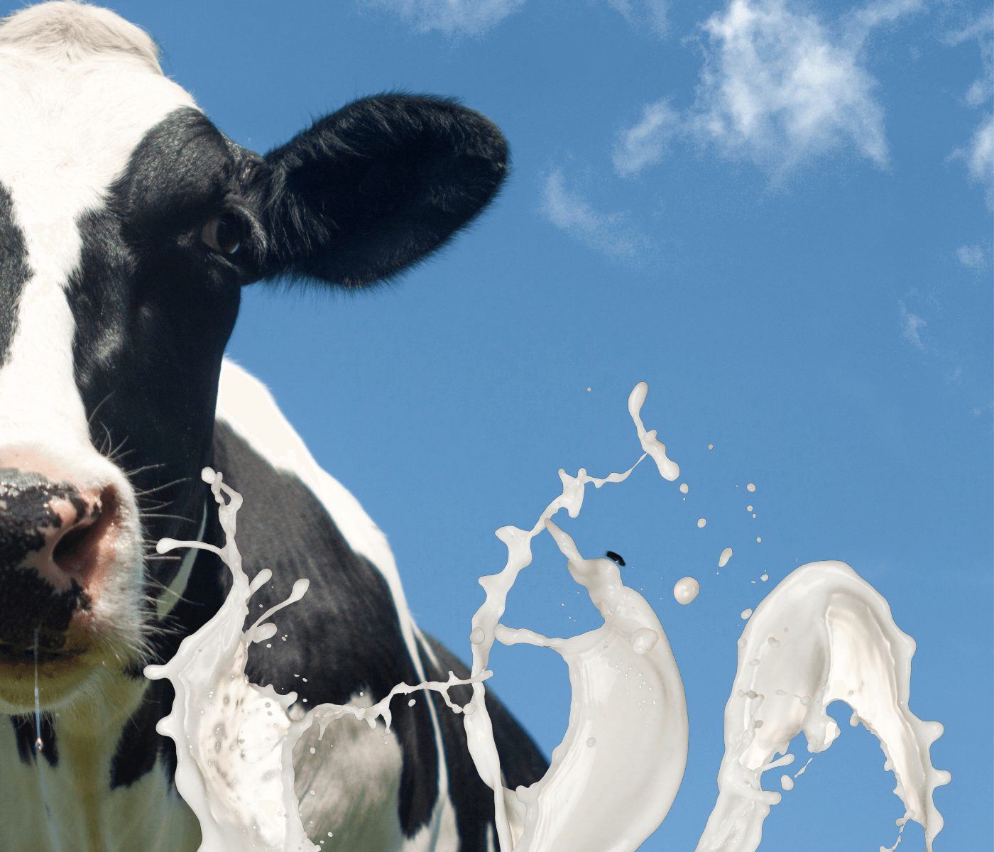 Enzimas exógenas na alimentação de vacas leiteiras